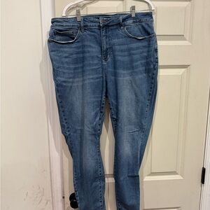 Judy Blue Skinny Jeans in Classic Blue